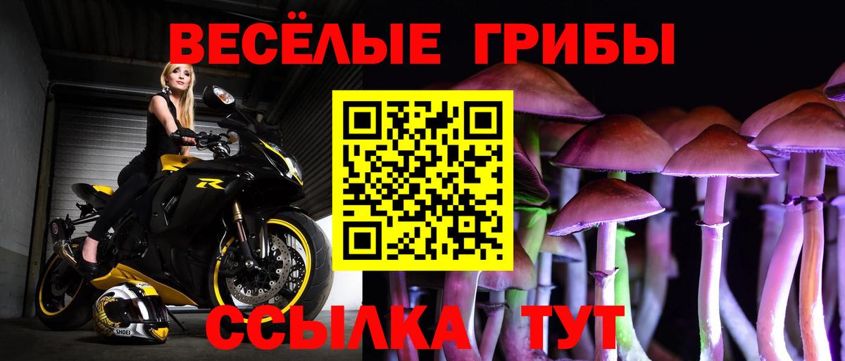 Псилоцибиновые грибы ЛСД  Вход с VPN  Псилоцибиновые грибы Psilocybine cubensis  Волгоград 