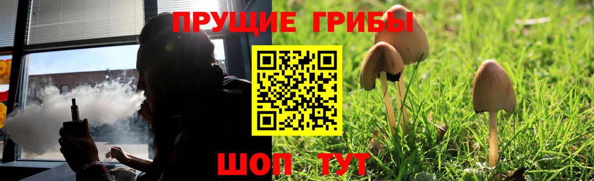 Галлюциногенные грибы GOLDEN TEACHER Волгоград