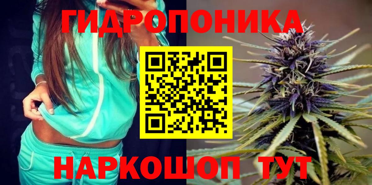 Волгоград  Шишки марихуана ГИДРОПОН  Вход с VPN  Бошки Шишки планчик  Канабис MAZAR 